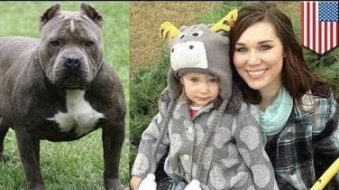 [VIDEO] Woman Bites Off pitbull's Ear To Save Daughter