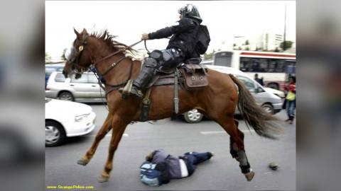 SHOCKING: Don't Mess With A Police Horse