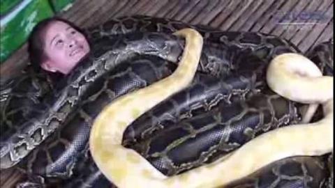 Adrenaline Junkies Have Snake Massage in The Philippines