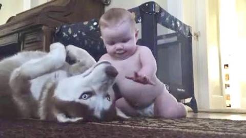 Dog and Baby Show Love For Each Other