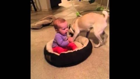[FUNNY] Dog Doesn't Want The Baby In His Bed!