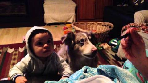 [VIDEO] Dog Shows Baby How to Say ‘Mama’