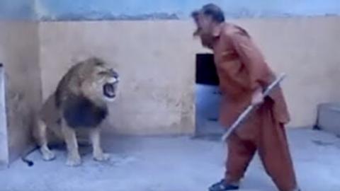 [VIDEO] Stupid Zoo Keeper Attacked By A Lion
