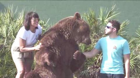 [SHOCKING] Florida Family Raised 14 BEARS In The Garden