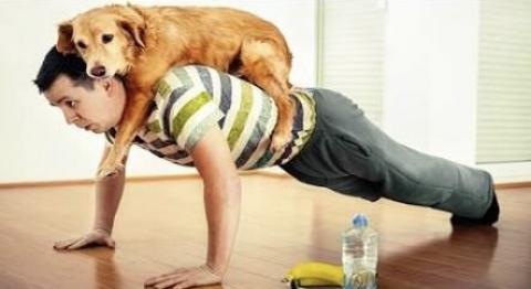 Amazing Dog Help the Owner Workout | So FUNNY!