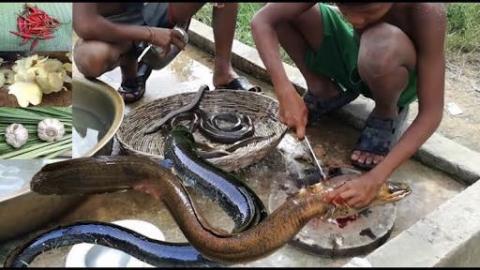 Amazing Kids Cook Eels For Lunch