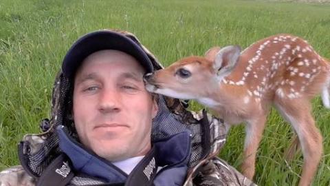Abandoned Baby Deer Refuses To Leave Man Who Saved Her Life