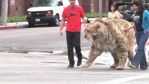 A Saber-toothed Cat Puppet Struts Across Wilshire to the La Brea Tar Pits