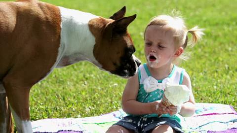 Toddler and Doggie Share Ice Cream